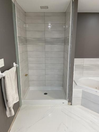 IMG 3554